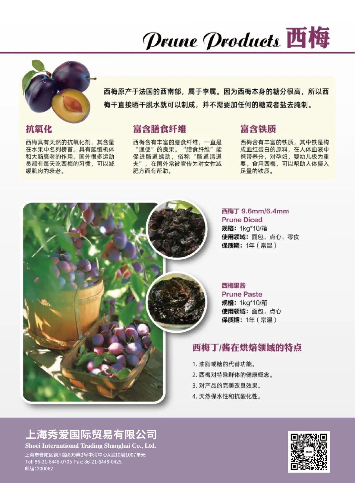 西梅_画板 1.jpg