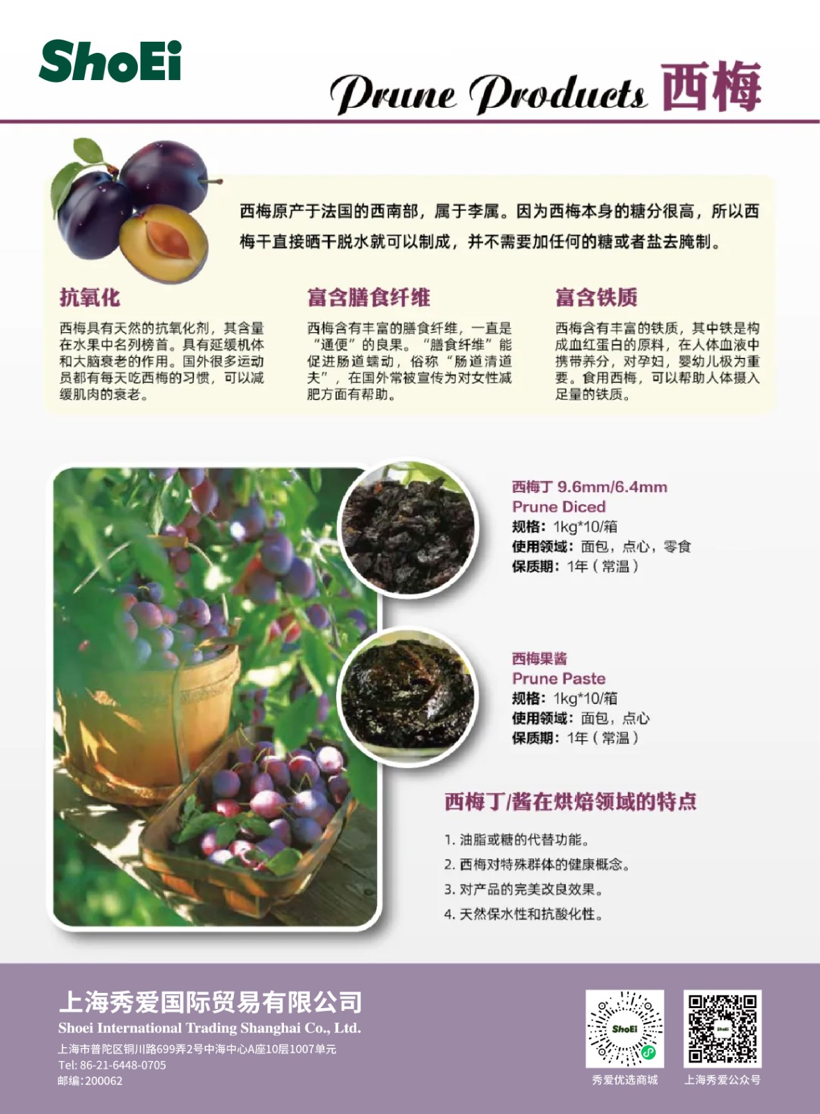 西梅-非原图_画板 1.jpg