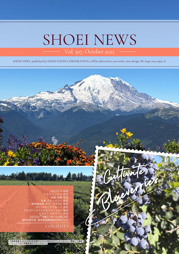 2025-10月 2025-10月